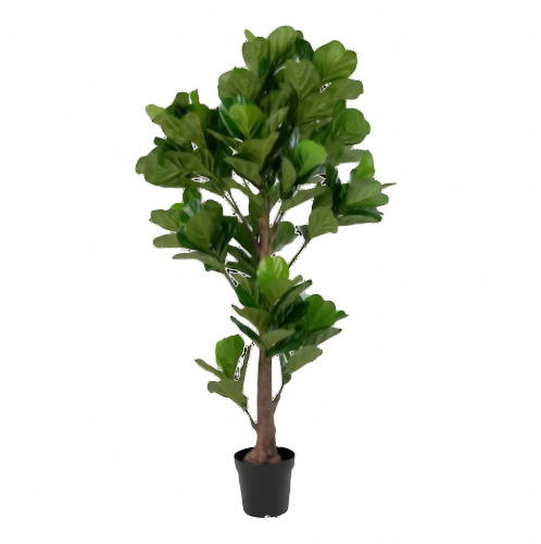 Fiddle Leaf Tree - Green